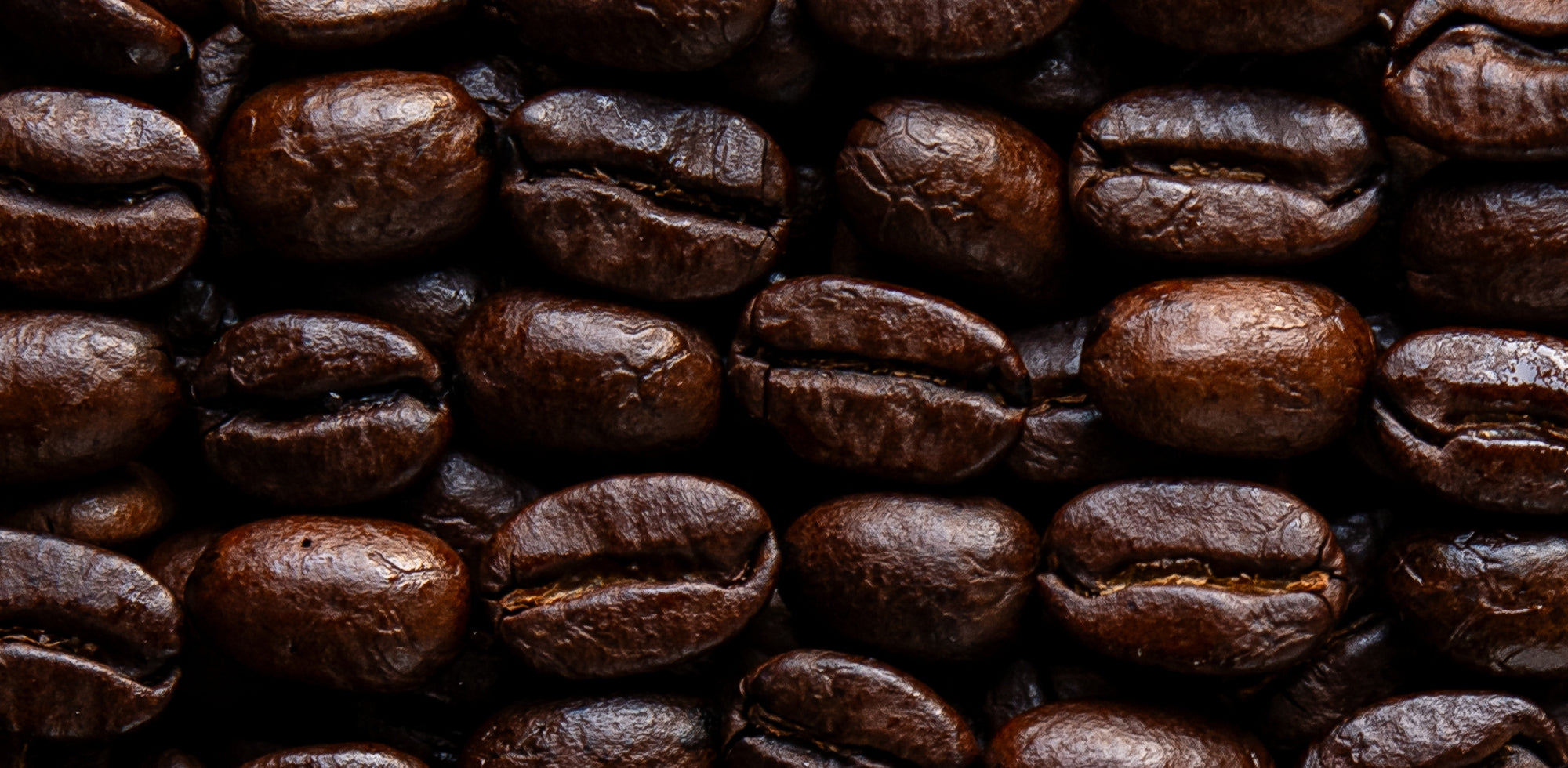 X-tract Coffee Banner 2000x980.jpg